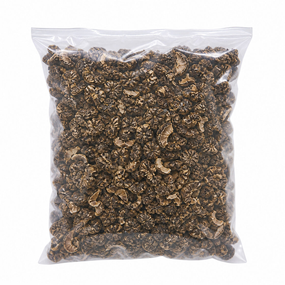 Amla Seed Amla dried seed